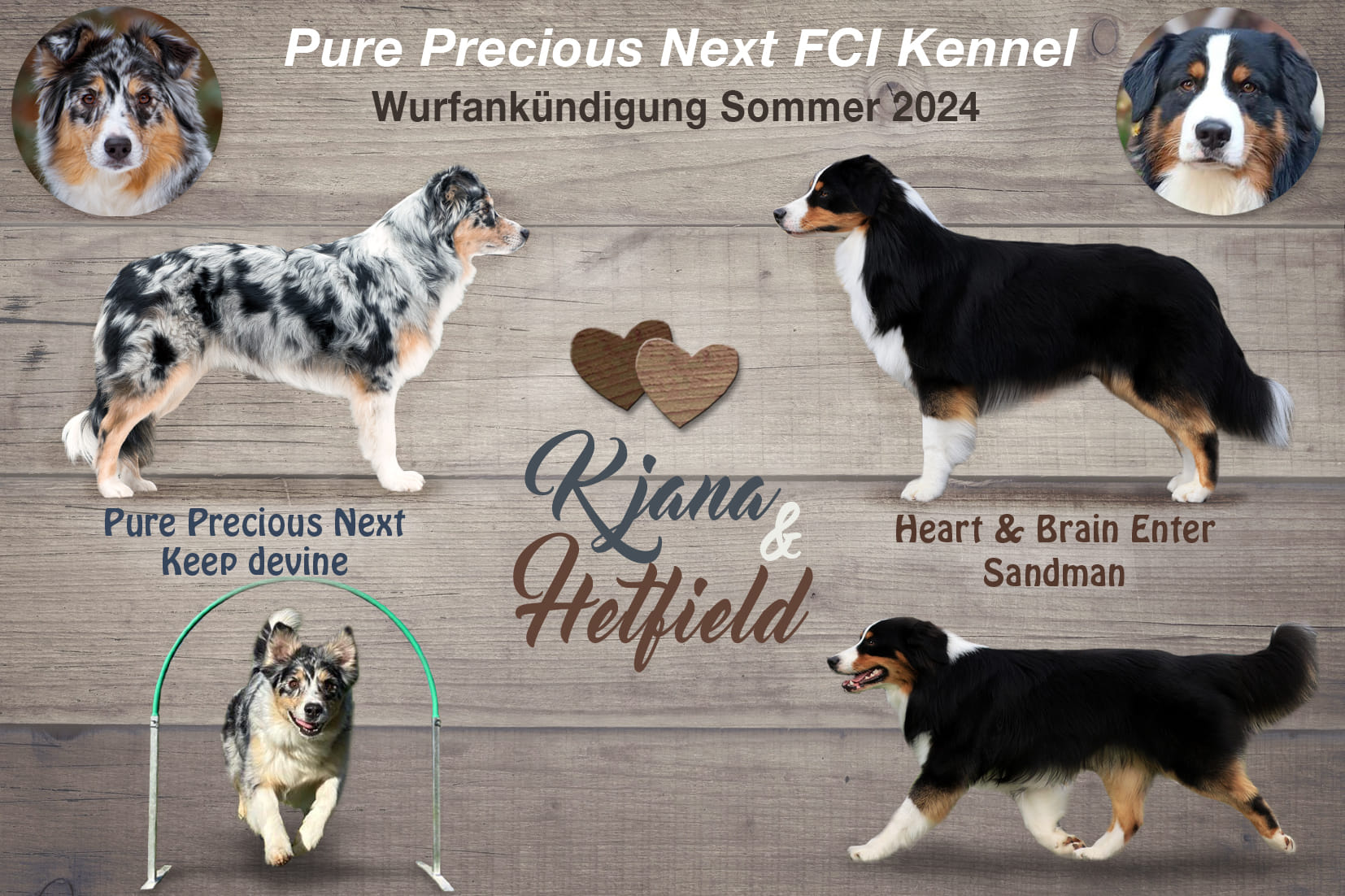 449467460_7943820815679092_5097324968964283710_n